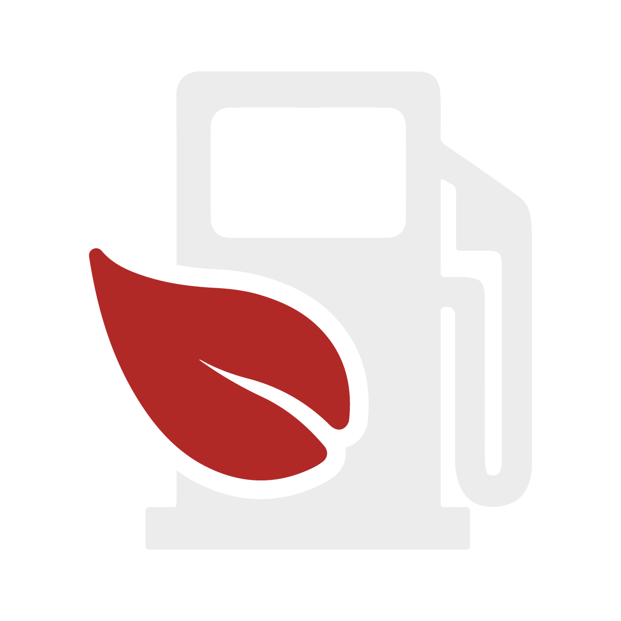 E85 Flexfuel (falls möglich)⛽️